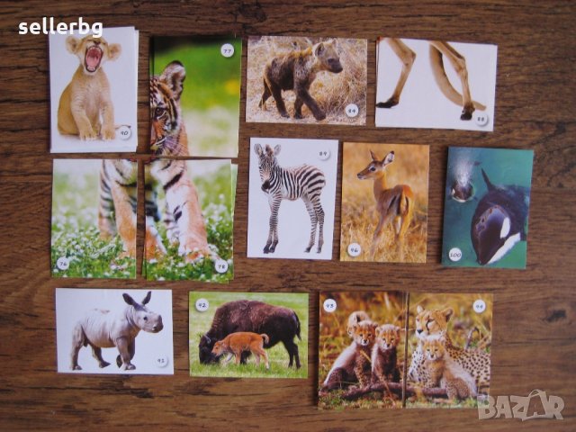 Картинки стикери лепенки Фантастико - Бебета животни, снимка 5 - Колекции - 31985620