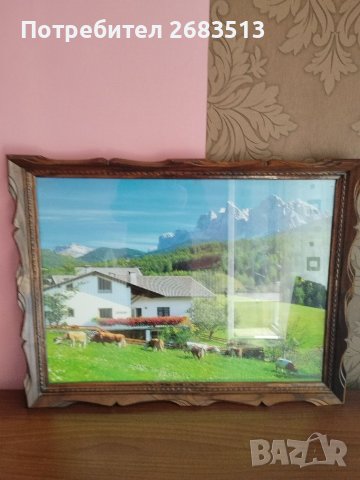 Картина-снимка., снимка 3 - Картини - 38094296