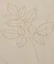 Нова олекотена завивка 200x220см. ПРОЛЕТ/ЛЯТО   LIAHOVDEN, снимка 2