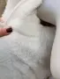 Дамски зимно яке, снимка 5