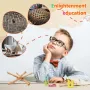 STEM играчки, Физически научен комплект за деца, 12 дървени пръчки за физически баланс, снимка 5