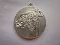 Знак Медал Орден, снимка 1