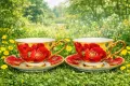 Костен порцелан - червен комплекти за чай и кафе за съдомиялна , снимка 14
