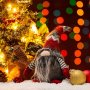 Коледна фигура, Гном с жакардова шапка, 26 см, снимка 1