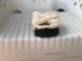 Дамски чехли Ugg в бежов цвят, снимка 3