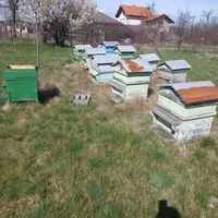 Пчелно оборудване , снимка 2 - За пчели - 40705141