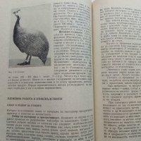 Животновъдство - Д.Димитров,П.Цонев - 1974 г., снимка 10 - Специализирана литература - 30444258