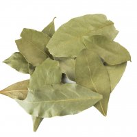 Домашен дафинов лист 100 % био свежи листа от домашен дафинов храст, подходящи за директна употреба , снимка 3 - Други - 37020554