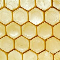 Пчелен восък/Beeswax, снимка 2 - Пчелни продукти - 39791350