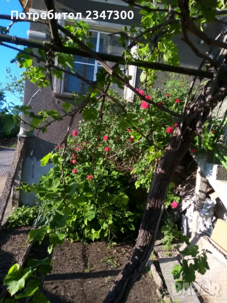 Селска къща в с.златия, снимка 1