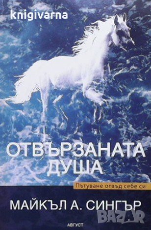 Отвързаната душа Майкъл Сингър, снимка 1