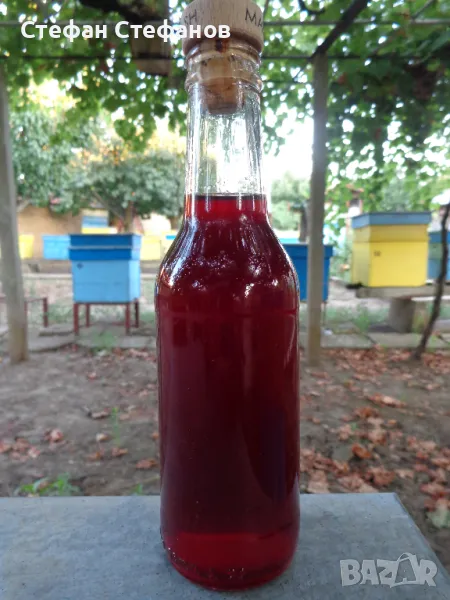 Елексир от вишни и пчелен мед, снимка 1