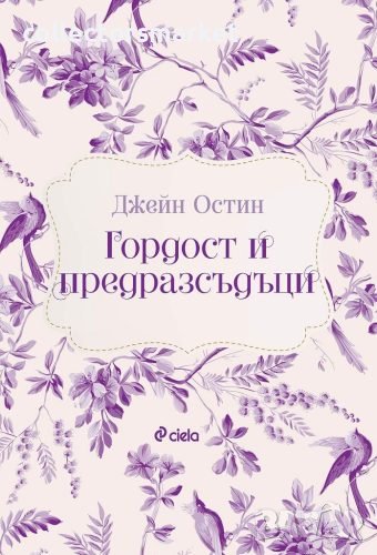Гордост и предразсъдъци, снимка 1