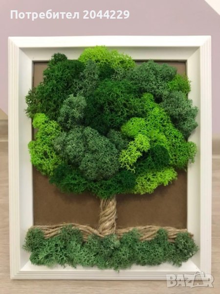 Дърво от скандинавски мъх, снимка 1