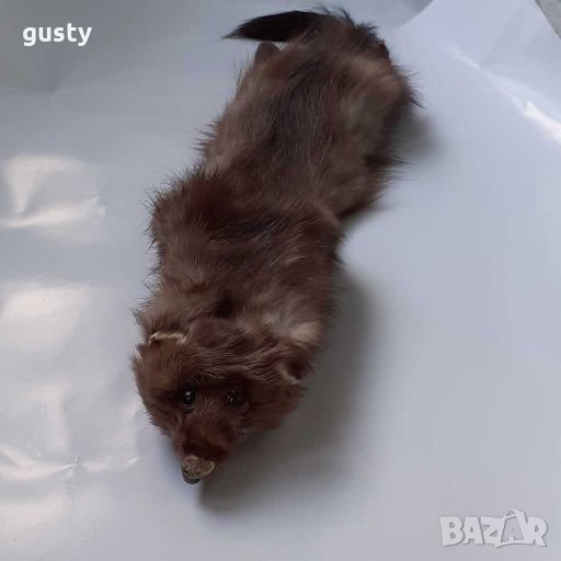 Топла яка за студени зимни дни, снимка 1