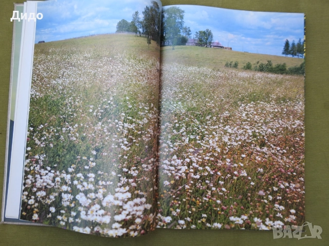 Времена Года, Годишните времена - Фото албум Поезия 1978 руски език, 40 см, снимка 6 - Специализирана литература - 52087712