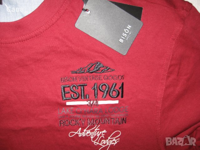 Тениски BISON, ALCOTT  мъжки,С и М, снимка 4 - Тениски - 37793017