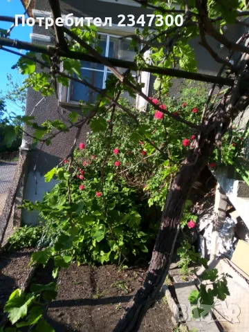 Селска къща в с.златия