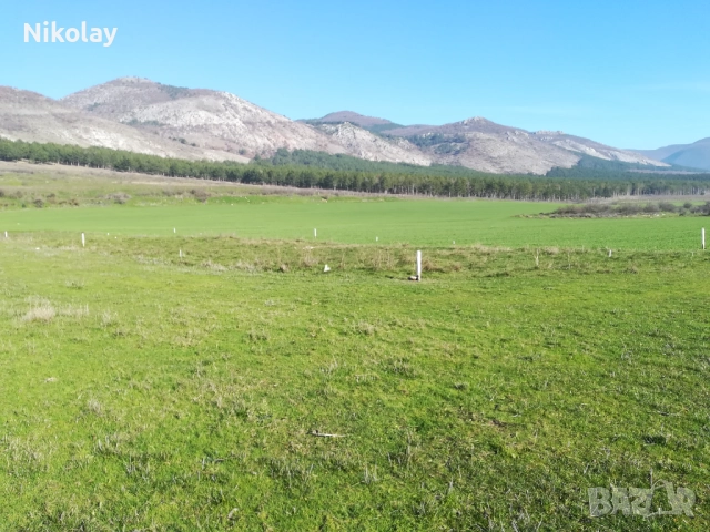 Земеделска земя в границите на гр. Шивачево