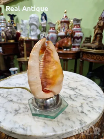Уникат - Рядка антикварна колекционерска лампа от раковина ръчно гравирана , снимка 5 - Други ценни предмети - 50153508