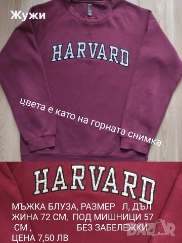 МЪЖКИ БЛУЗИ И СУИЧЪРИ, РАЗМЕР Л и ХЛ