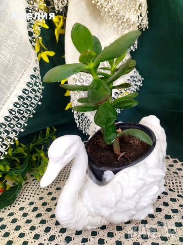 Лебеди кашпи, снимка 13 - Декорация за дома - 51778063