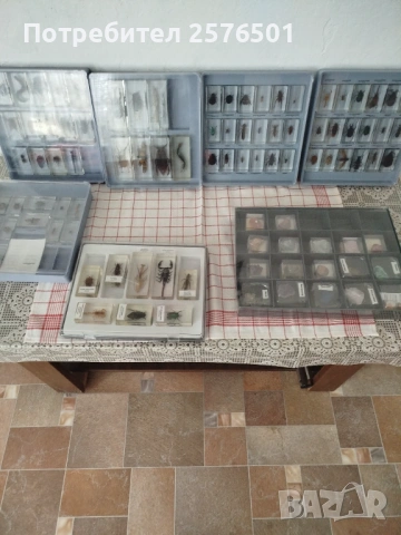 Буболечки и чудновати животинки , снимка 6 - Специализирана литература - 54082498