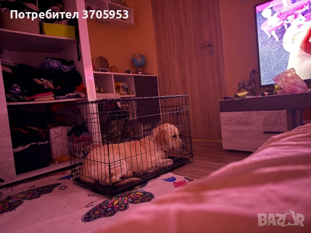 Червени дамски ботуши с панделки - 38ми номер, снимка 10 - Дамски ботуши - 52786759