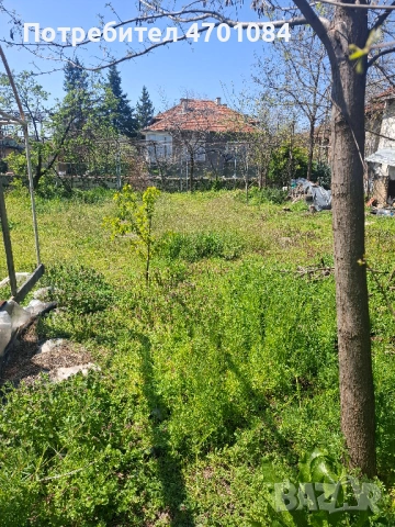 Стамболийски, дворно място, Cтара къща в Регулация, УПИ 490 кв.м., 63000 договаряне, снимка 3 - Парцели - 53657087