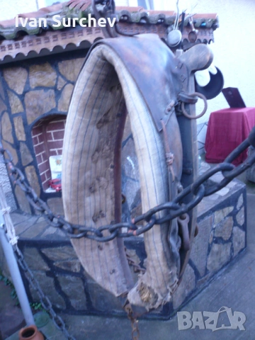 ХАМУТ ЗА КОН ОТ ПЕТДЕСТТЕ ГОДИНИ, снимка 15 - Други животни - 53256404