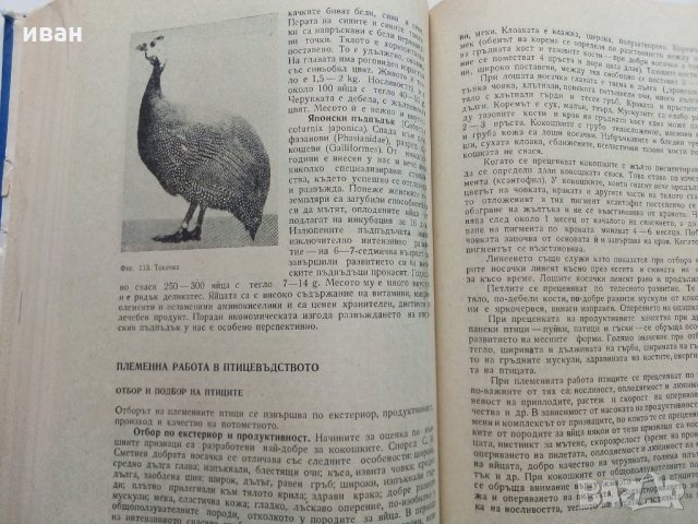 Животновъдство - Д.Димитров,П.Цонев - 1974 г., снимка 10 - Специализирана литература - 30444258