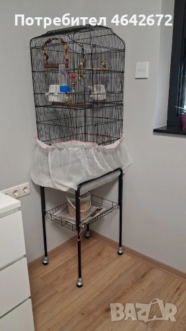 ОБЕЩАН!!! Корела с оборудвана клетка със стойка, снимка 3 - Папагали - 52809444