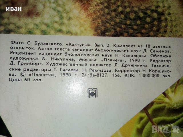 Комплект с 18 цветни картички "Кактусы", снимка 2 - Други - 30754579