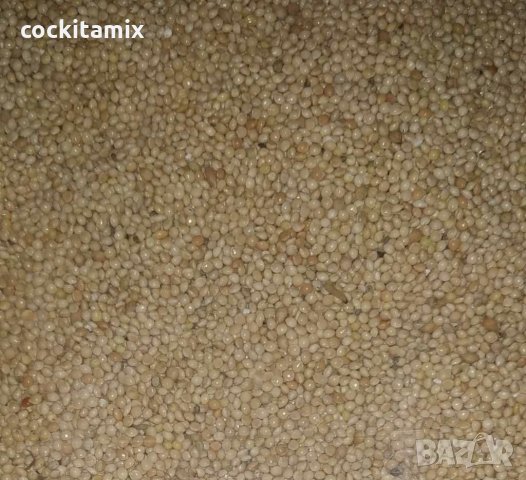 Семена за птици, снимка 8 - За птици - 30824762