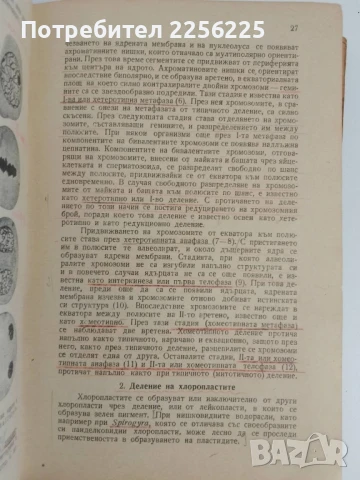 Земеделска ботаника 1947г, снимка 4 - Специализирана литература - 51165729