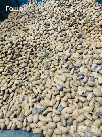 Ядки бадем от домашен производител , снимка 3 - Домашни продукти - 54349170