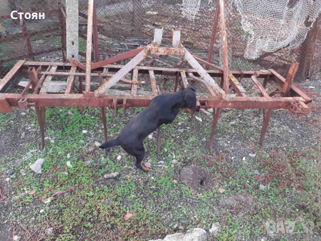 Култиватор, снимка 5 - Селскостопанска техника - 52638250