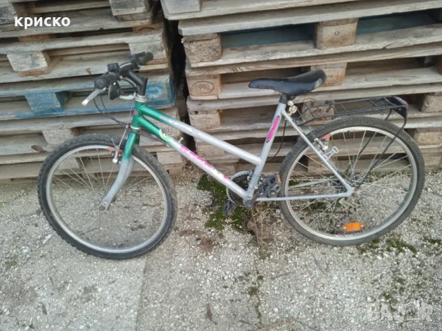 колело 24, снимка 9 - Велосипеди - 32688388
