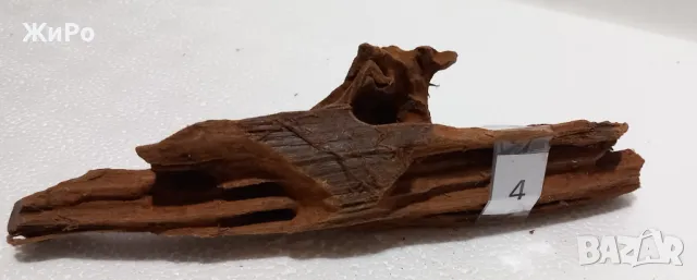 Мангрови Корени /Декорация/ Размер - S  /1-6/, снимка 4 - Оборудване за аквариуми - 48935343