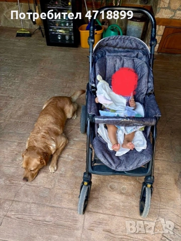 Количка Cam Dinamico 3 в 1, снимка 2 - Детски колички - 53223567