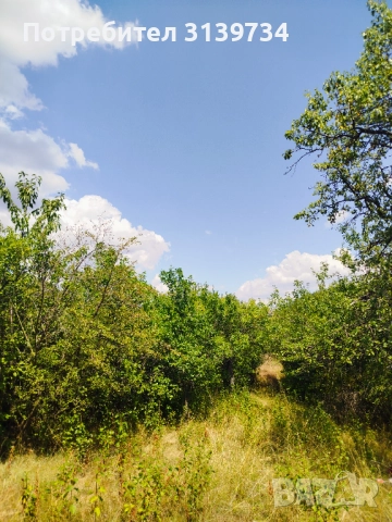 Продавам УПИ в Центъра на село Дивотино , снимка 13 - Парцели - 52989731