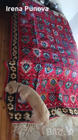 Чисто нов с етикет чипровски килим, снимка 2 - Килими - 52267465