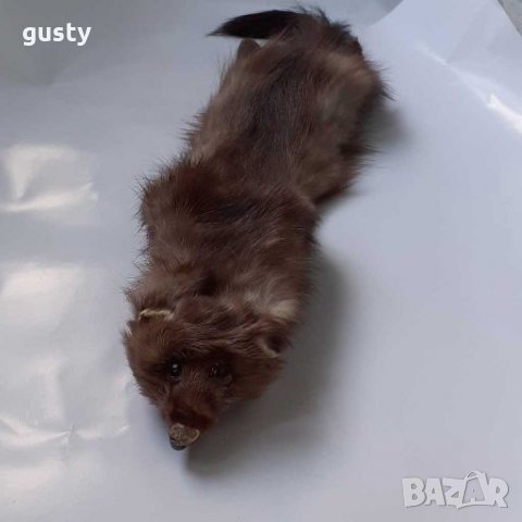 Топла яка за студени зимни дни