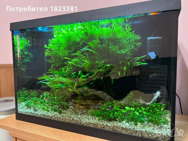 Аквариум AquaEl, снимка 4 - Аквариуми - 56485290