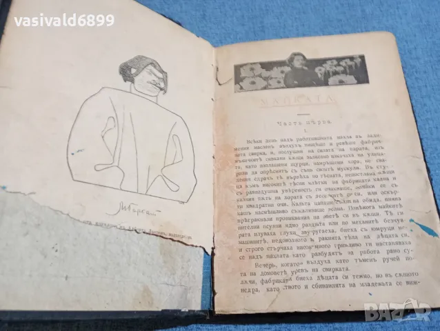 Максим Горки - Майката , снимка 2 - Художествена литература - 48264008