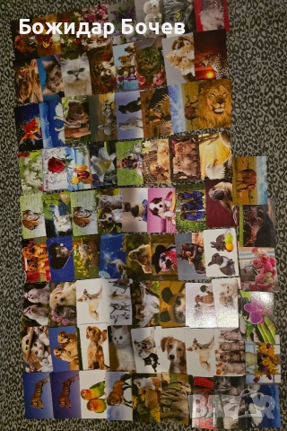 Календарчета- Футбол, Балкан, Животни , снимка 4 - Колекции - 53294962