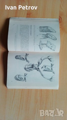 Ръководство за направа на ловни трофеи, снимка 2 - Специализирана литература - 42652133