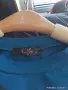 синя блуза / туника с права/столче яка на българския бранд Djofra Fashion , снимка 2