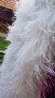  Боа от щраусови пера ( черна, бяла, розова, зелена, лилава), снимка 4