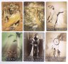 86 терапевтични оракул (таро) карти: Uncover your Past Lives Oracle, снимка 15